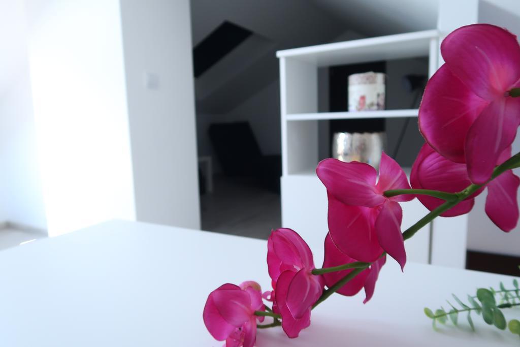 Villa Sunshine Trogir Dış mekan fotoğraf
